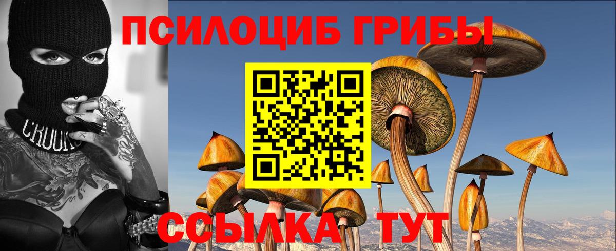 цены   Псилоцибиновые грибы GOLDEN TEACHER  Людиново  Вход с VPN  Псилоцибиновые грибы мицелий 